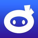 Logo Security Ninja Premium